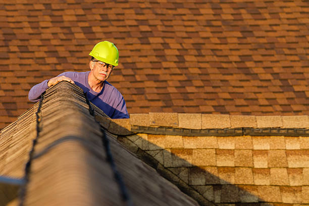 Best Storm Damage Roof Repair  in West End Cobb Town, AL